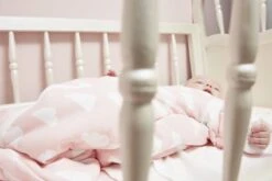 Meyco Clouds/Dots/Feathers Starterset - 9-pack - Hydrofiel - Pink 7 Meyco Clouds/Dots/Feathers Starterset - 9-pack - Hydrofiel - Pink -Babyproducten Korting 1200x800 137