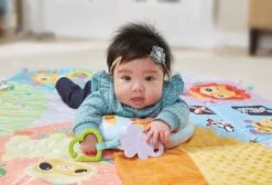 VTech Baby Dierenvriendjes Speelmat 7-in-1 - Interactief Babyspeelgoed - 0 Tot 3 Jaar - Babygym 15 VTech Baby Dierenvriendjes Speelmat 7-in-1 - Interactief Babyspeelgoed - 0 Tot 3 Jaar - Babygym -Babyproducten Korting 1200x818 1